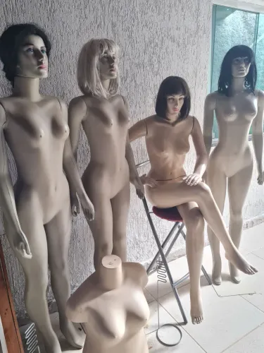 Material para monta loja de roupas