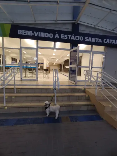Procuro cuidador de pet