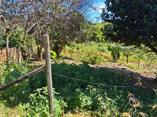 Lote