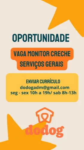 Monitor creche cães pet shop e serviços gerais 