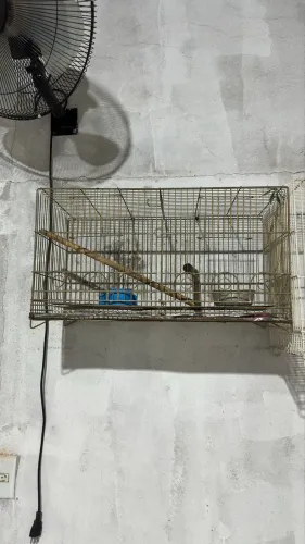 Vendo gaiola de passarinho