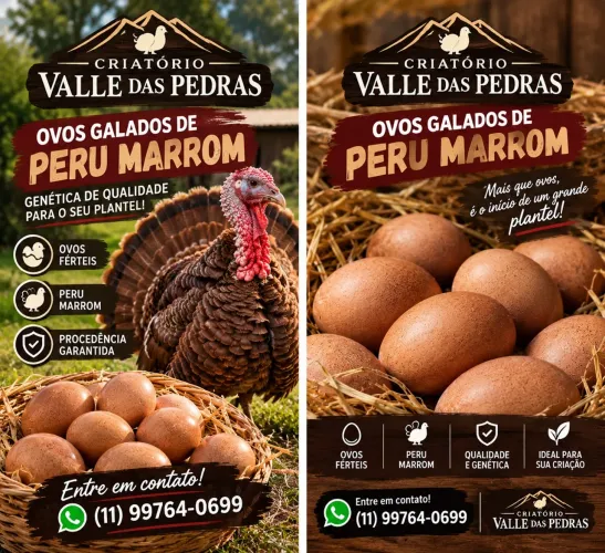 Ovos galados Peru marrom