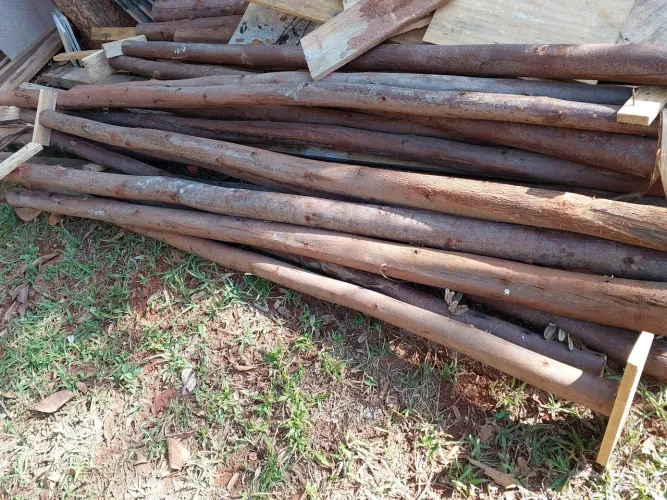Vendo 20 estacas de eucalipto e tábuas pinos 