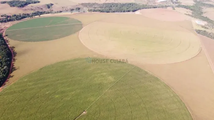 fazenda na proximidade da cidade de Vianópolis no estado de Goiás
