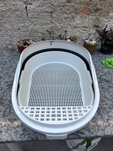 Caixa de areia para gato