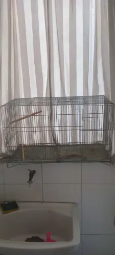 GAIOLA