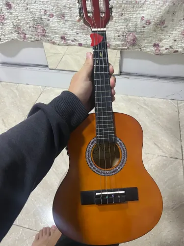 Cavaquinho Gianinni