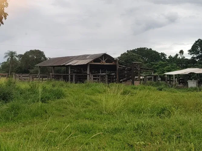 Imovel a Venda Propriedade Rural NS do Livramento -54 km de Cuiaba