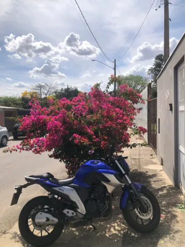 Fazer 2019 , segundo dono