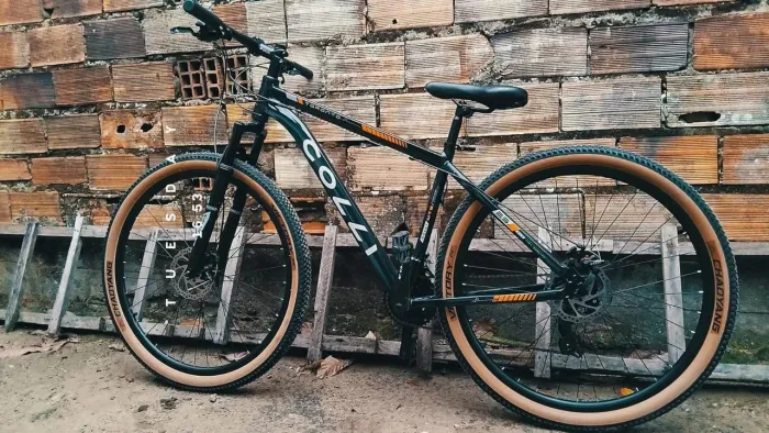 Bicicleta Profissional