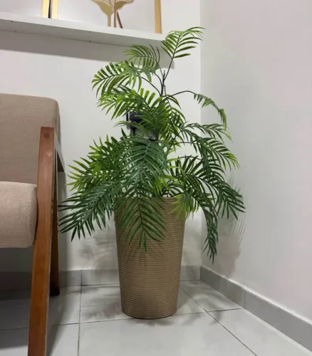 Vaso + planta