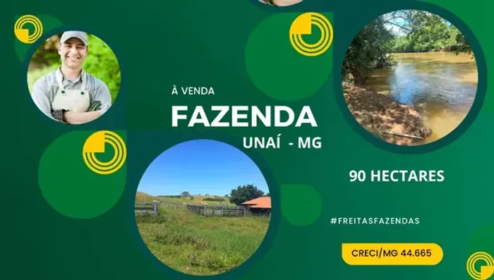 Fazenda em Unai a venda 81 hectares formada escriturada