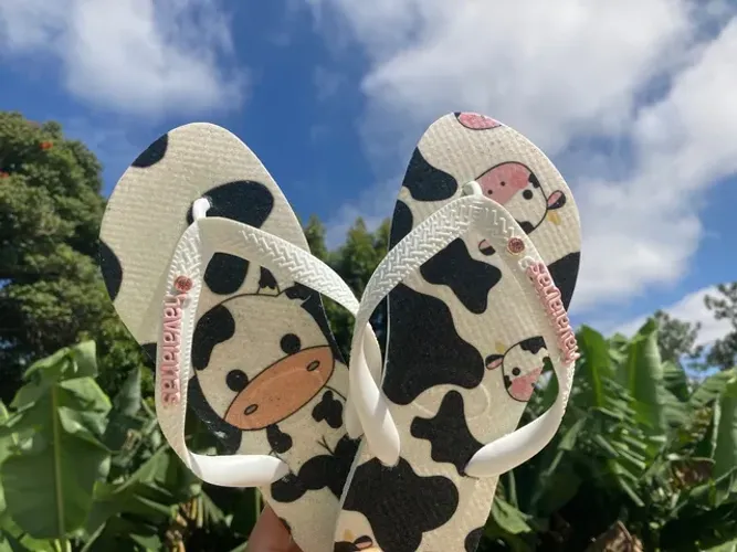Havaianas vaquinha 39/40