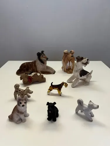Linda coleção de cachorros