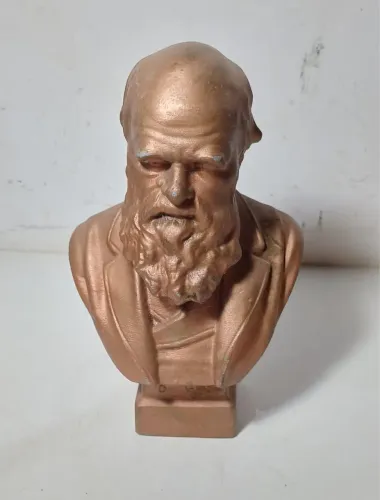 Busto em PLÁSTICO Charles Darwin 