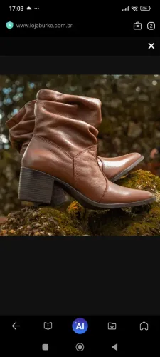 Bota