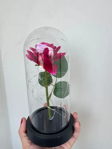 Rosa - A bela e a fera -