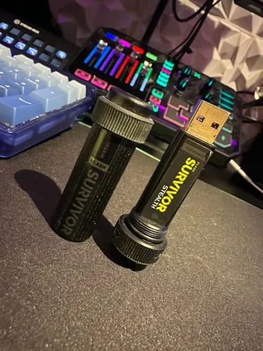 Corsair Survivor Stealth 256 GB