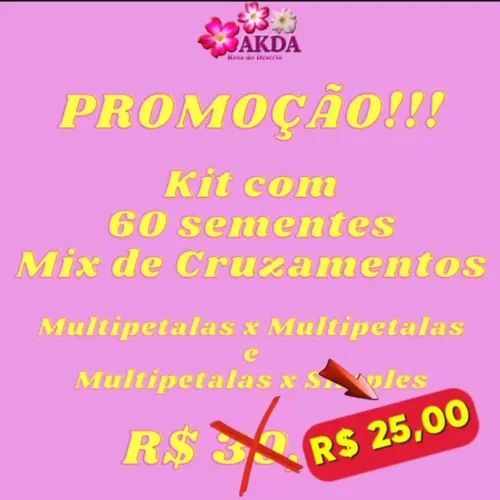 Kit 60 sementes de rosa do deserto