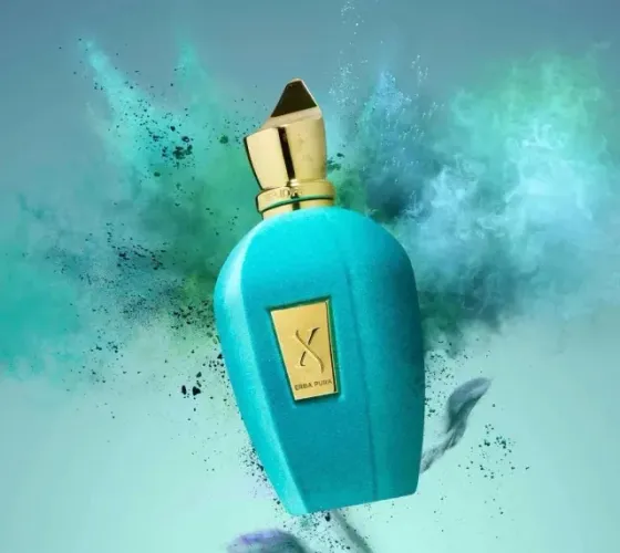 Perfume Xerjoff Erba Pura Eau De Parfum 100ml Unissex Exclusivo   Perfumaria de nicho