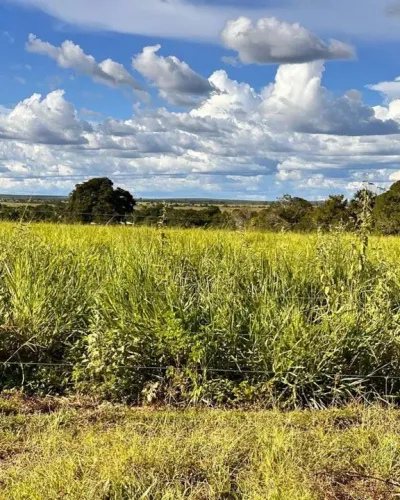 Fazenda em Monte do Carmo. 26 mil por alqueire.