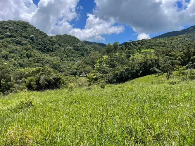 lote em santo antonio do pinhal - vista para pico agudo e pedra do Bau