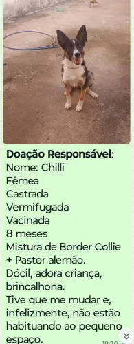 Tutor responsável