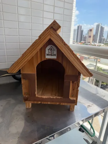 Casa pet