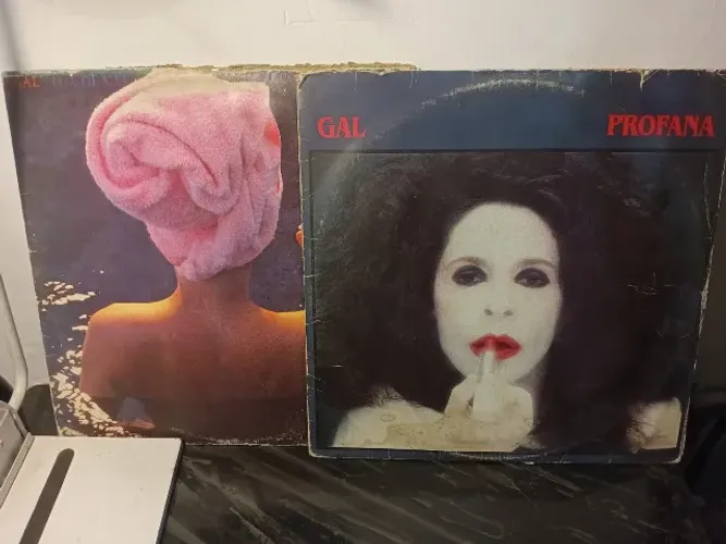 Discos lp Gal Costa Profana e Lua de Mel