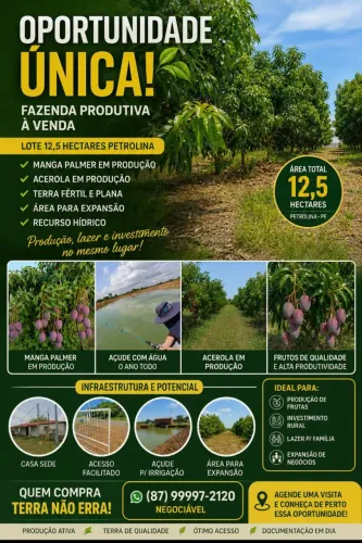 Propriedade geradora de renda comprovada Petrolina!