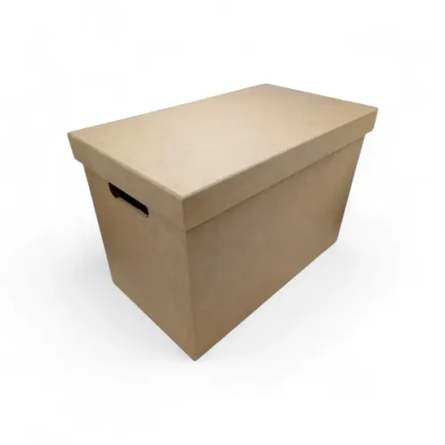 Caixa organizadora com alça 45x28x35 tampa sapato