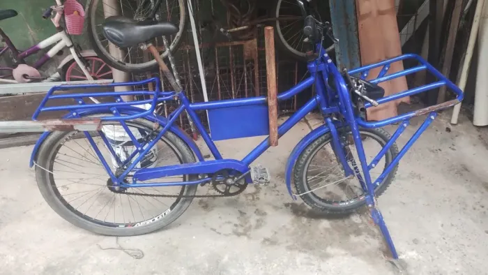 Bicicleta Cargueira