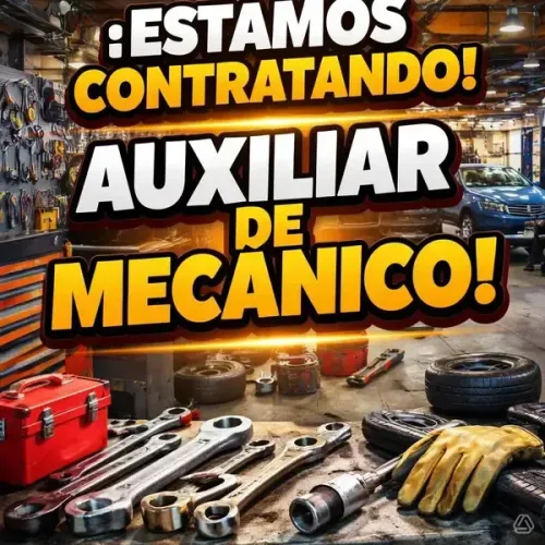 AUXILIAR DE MECÂNICO