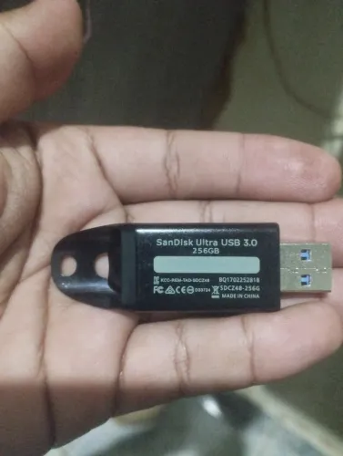 SanDisk 256 GB!