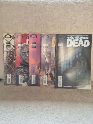 THE WALKING DEAD (LOTE HQ FORMATINHO) - NÚMEROS 16 AO 20 (EXCELENTE ESTADO)