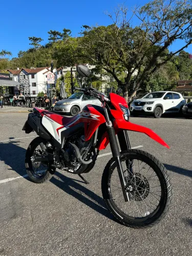 Honda XRL 300 2025
