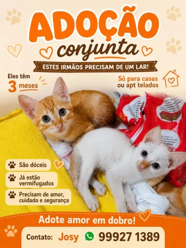 IRMÃOS LINDOS