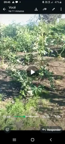 Dois terreno . Ja cercando