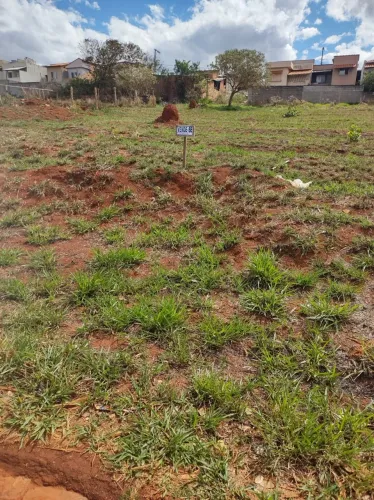 Lote