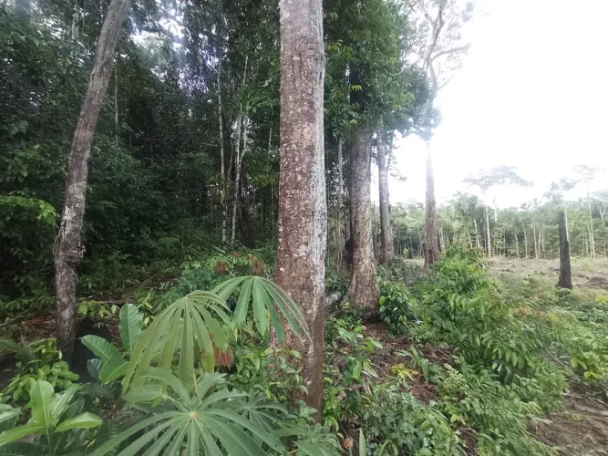 Área de fazenda no Jundia 