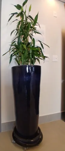 Vaso Vietnamita azul vitrificado.