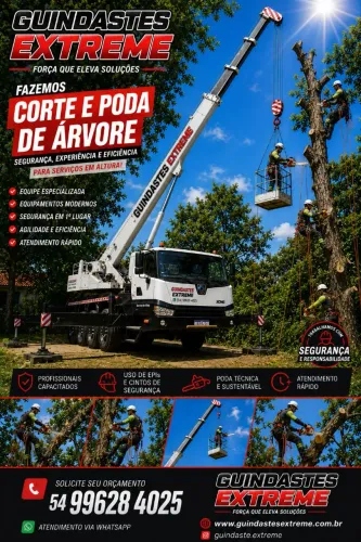 Corte e poda de árvores