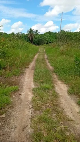 Sitio