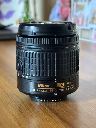 Nikon AF-P DX 18-55mm f/3.5-5.6G VR