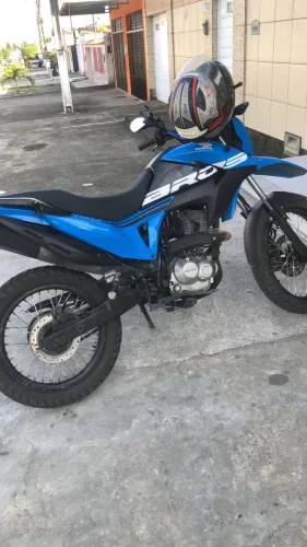 Bros 2019 