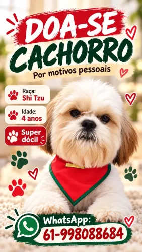 Doa-se cachorros lindos