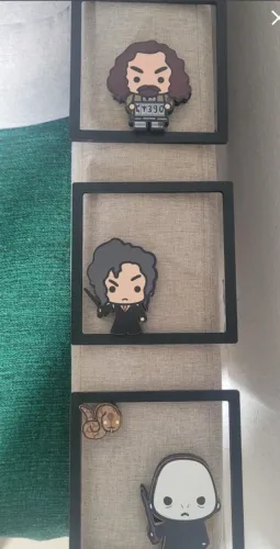 Quadros Decorativos 3D Harry Potter - Vilões de Hogwarts