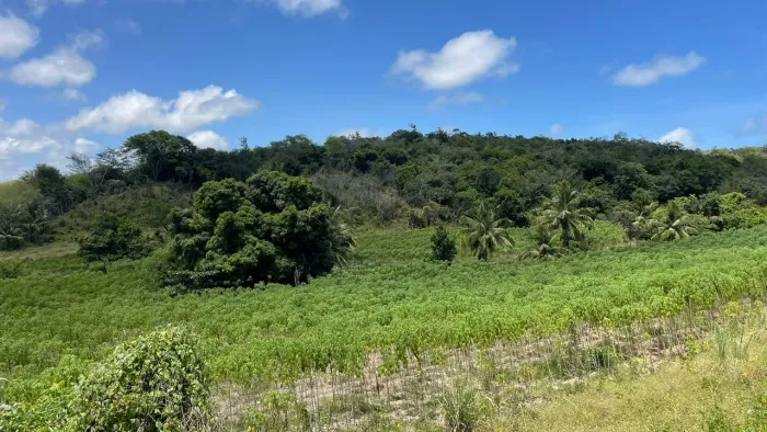 Área financiada pra montar sua chácara ou granja no litoral sul e muito verde