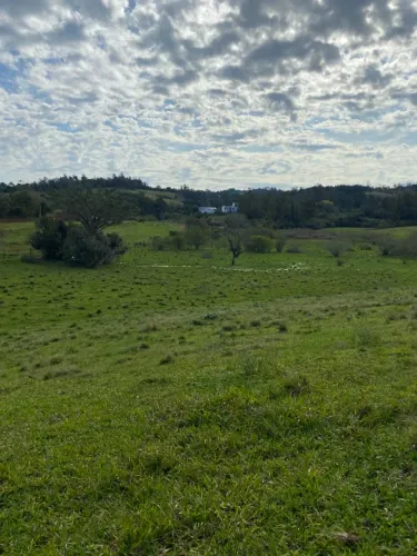 Área para Chácara - Sítio em Morungava