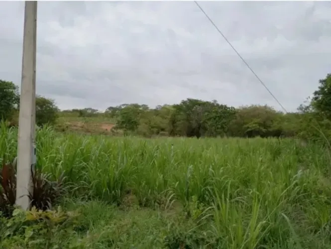 FAZENDA - Estrada da Produção - 57,63 Hectares VENDE-SE FAZENDA - EXCELENTE OPORTUNIDADE!